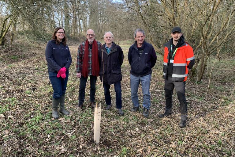 tree planting picture